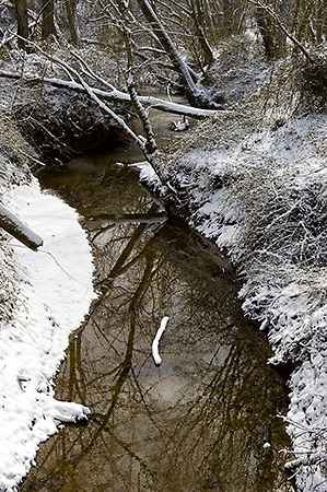 Snow on a Creek Feeding the Rivanna River, Charlottesville, VA